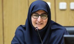 جبران افت تحصیلی دانش آموزان ابتدایی در بستر مجازی/ رفع اشکال با کمک دانشجو معلمان